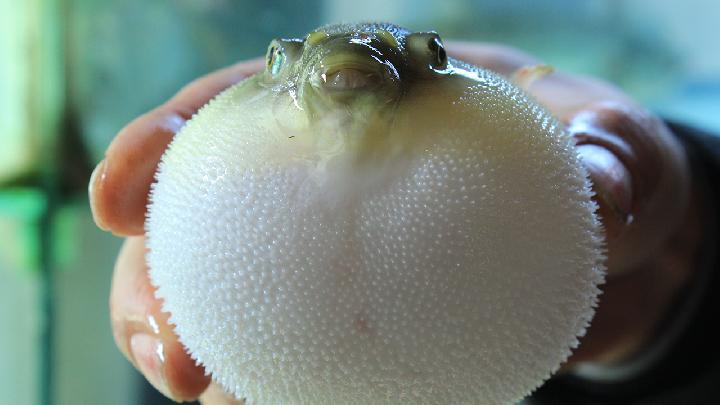 中餐菜谱大全菜单